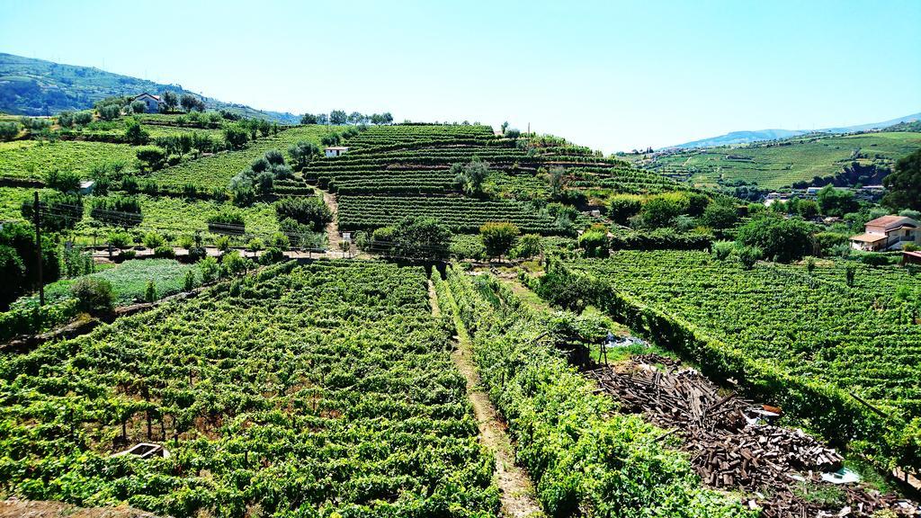 Douro Valley - Casa Vale Do Douro Ламегу Экстерьер фото